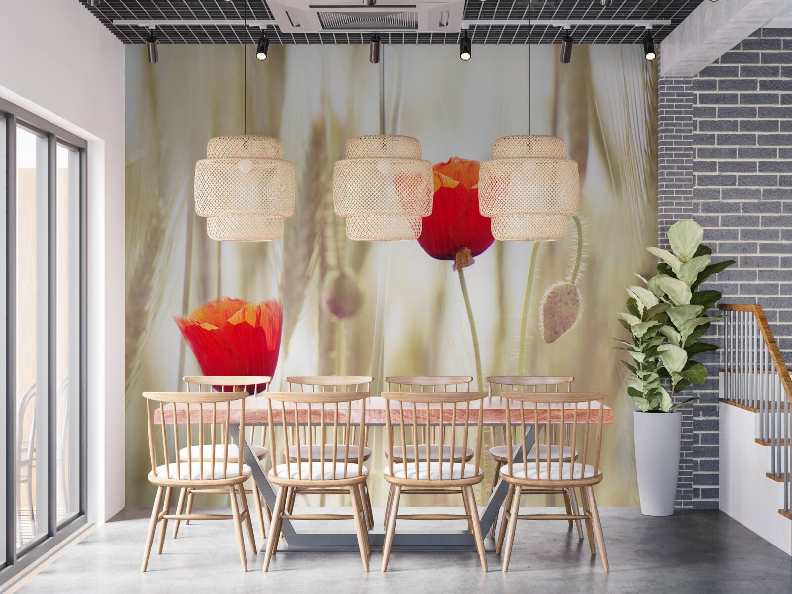 Фотошпалери червоні маки ростуть у полі пшениці