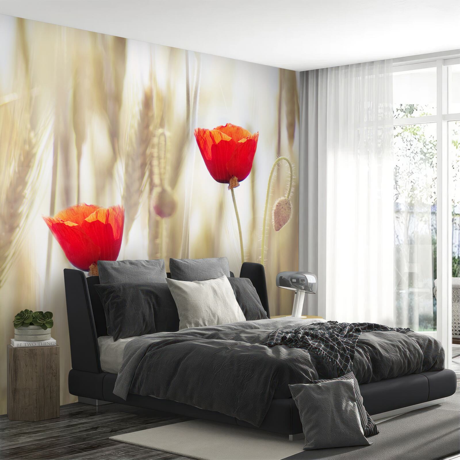 Фотошпалери червоні маки ростуть у полі пшениці