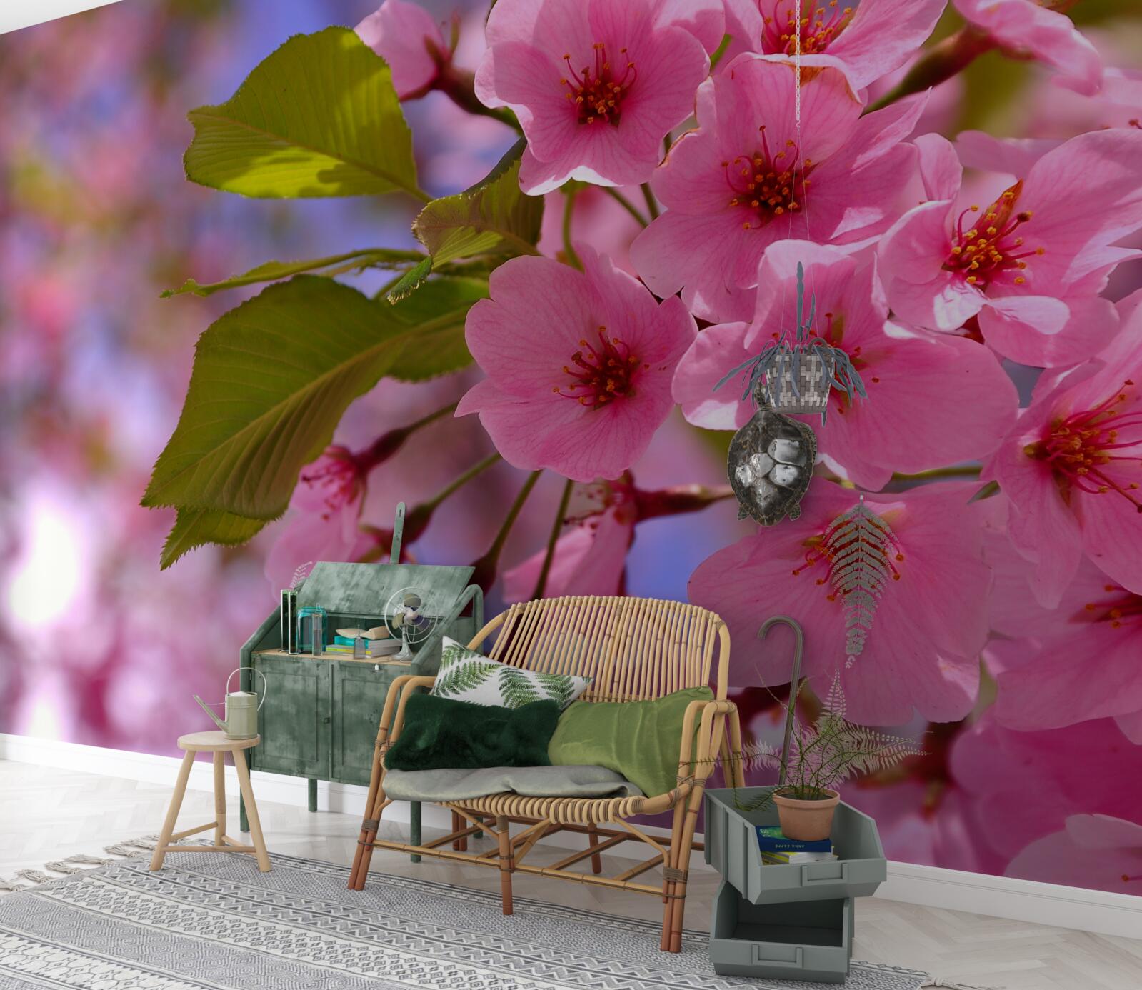 Фотошпалери навесні розпускаються великі бутони сакури