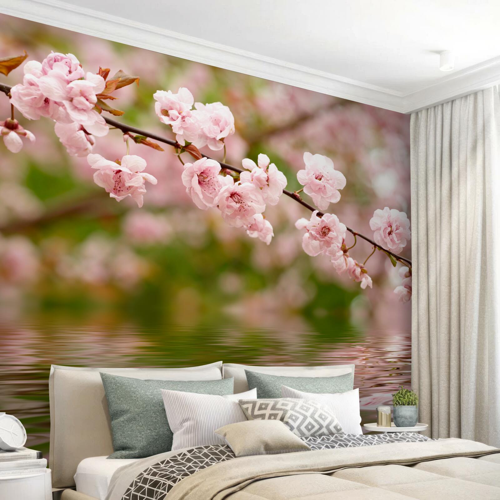 Фотошпалери гілка з квітами на поверхні води