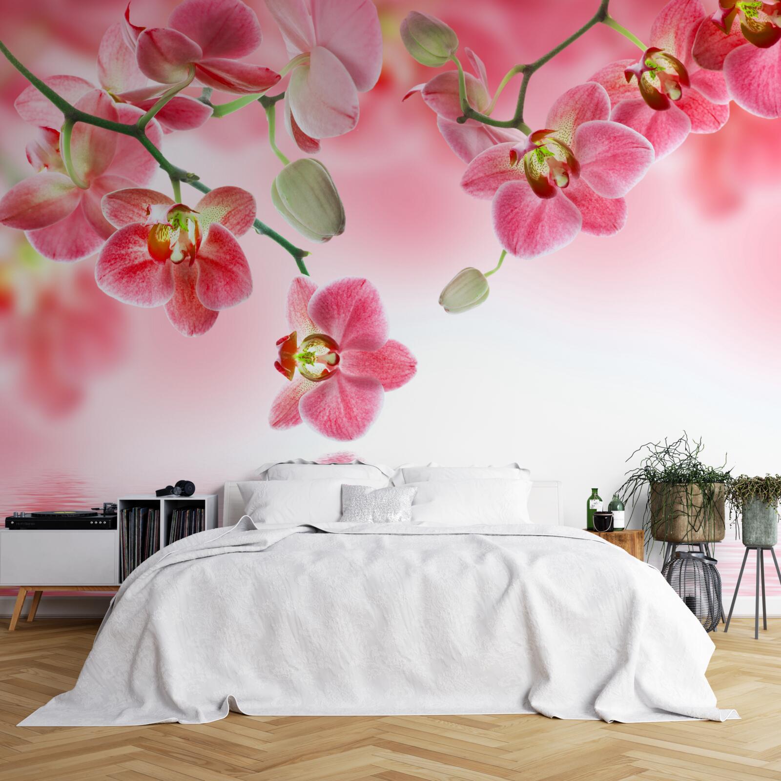 Фотошпалери червона орхідея висить на дереві над водою