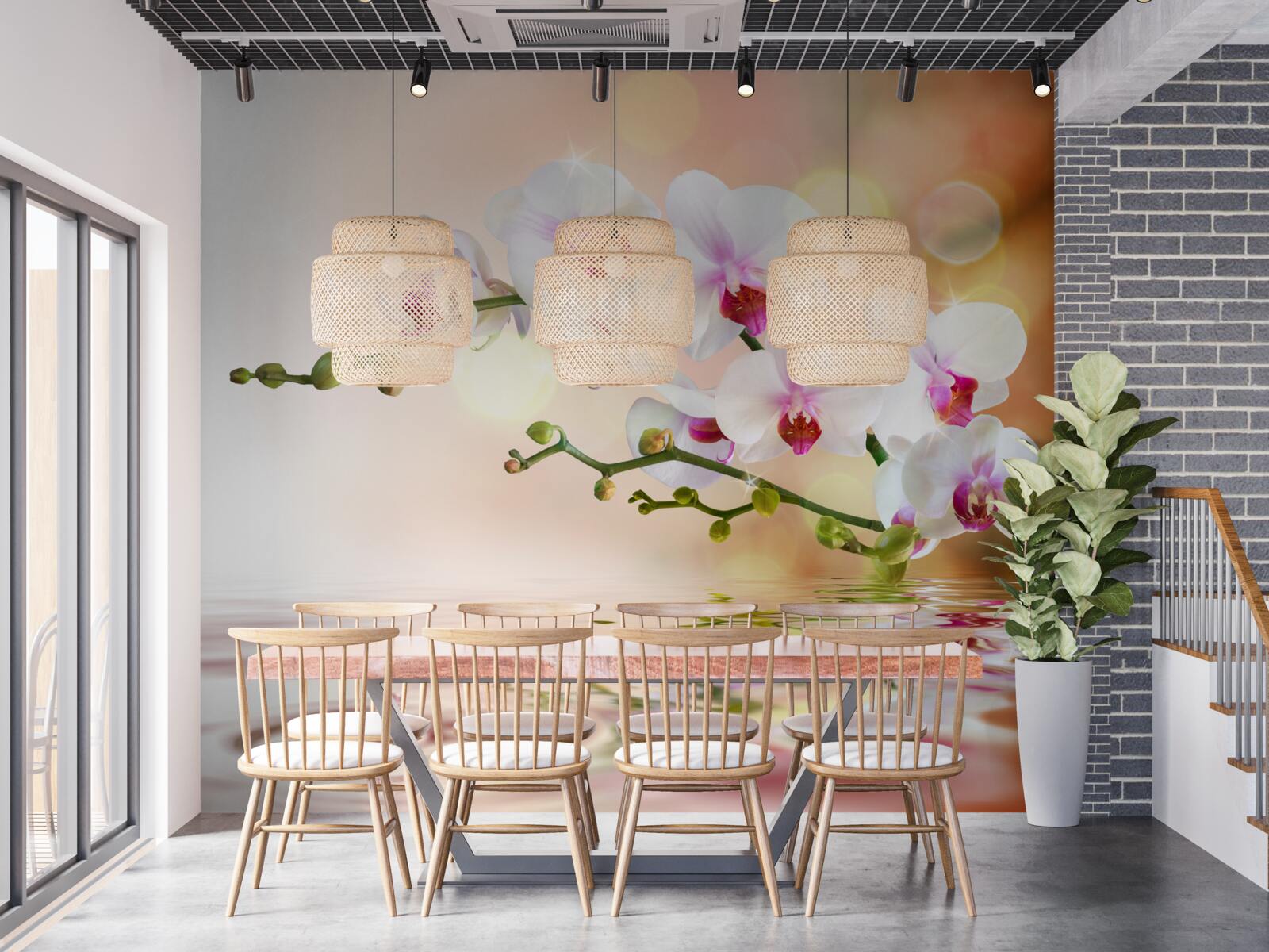 Фотошпалери гілка білої орхідеї, що віддзеркалюється у воді