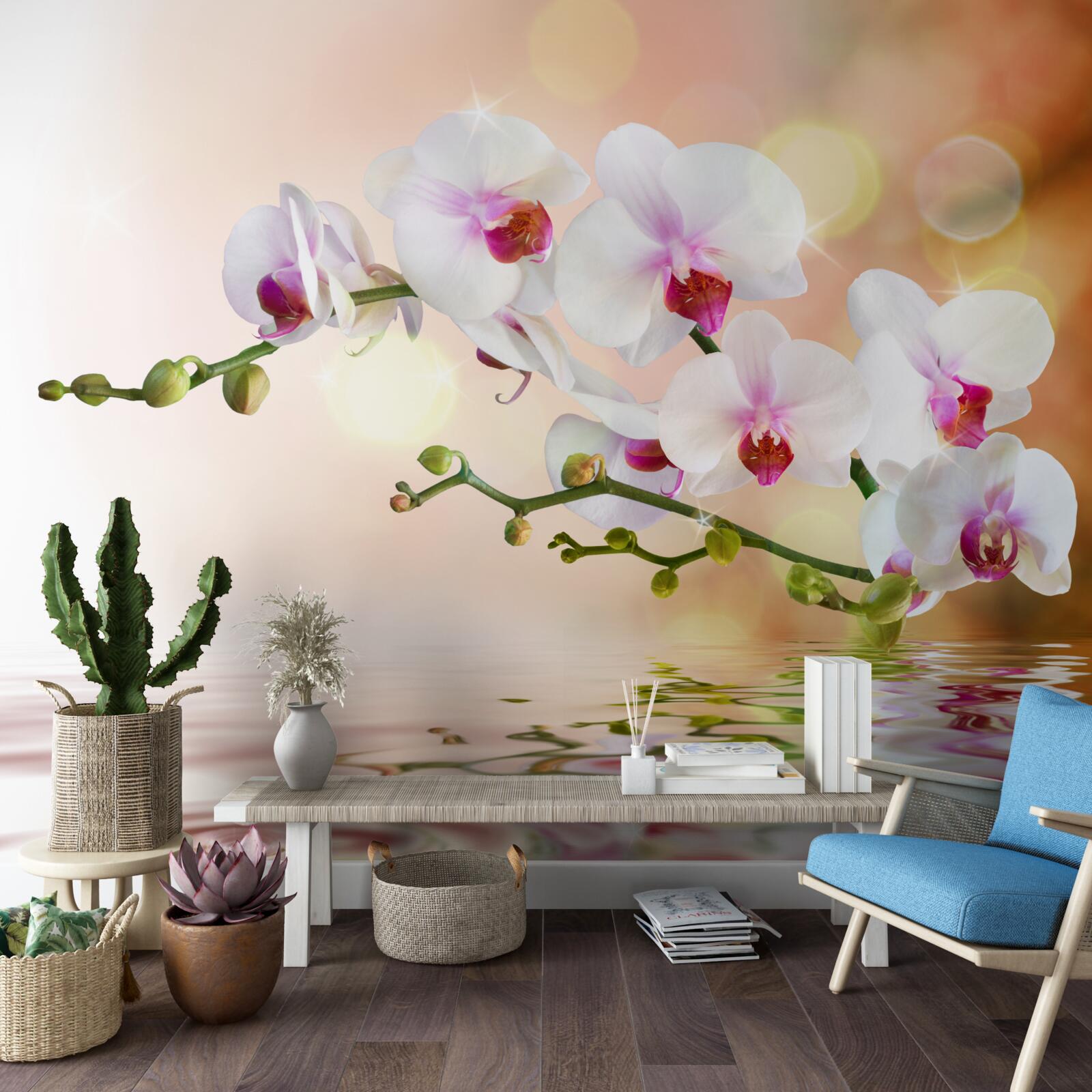 Фотошпалери гілка білої орхідеї, що віддзеркалюється у воді