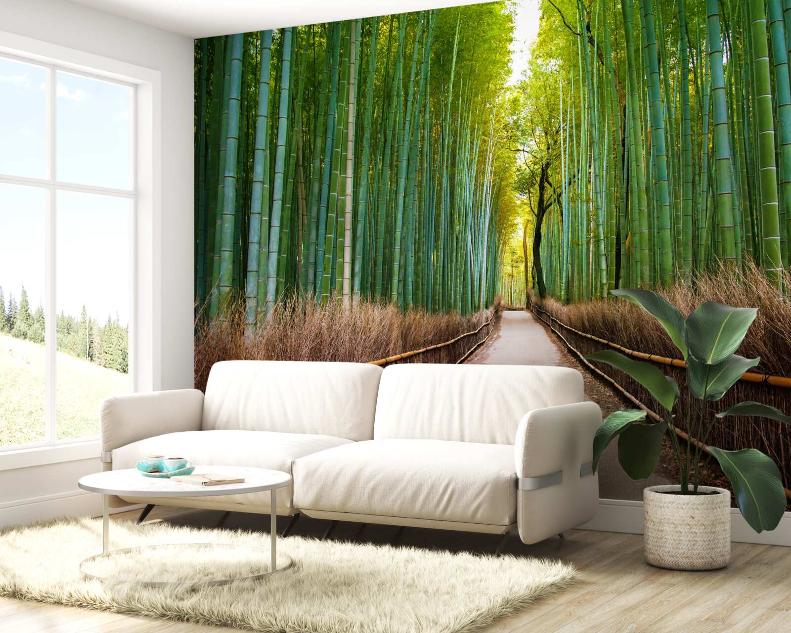 Фотошпалери витончений бамбуковий гай зі стежкою