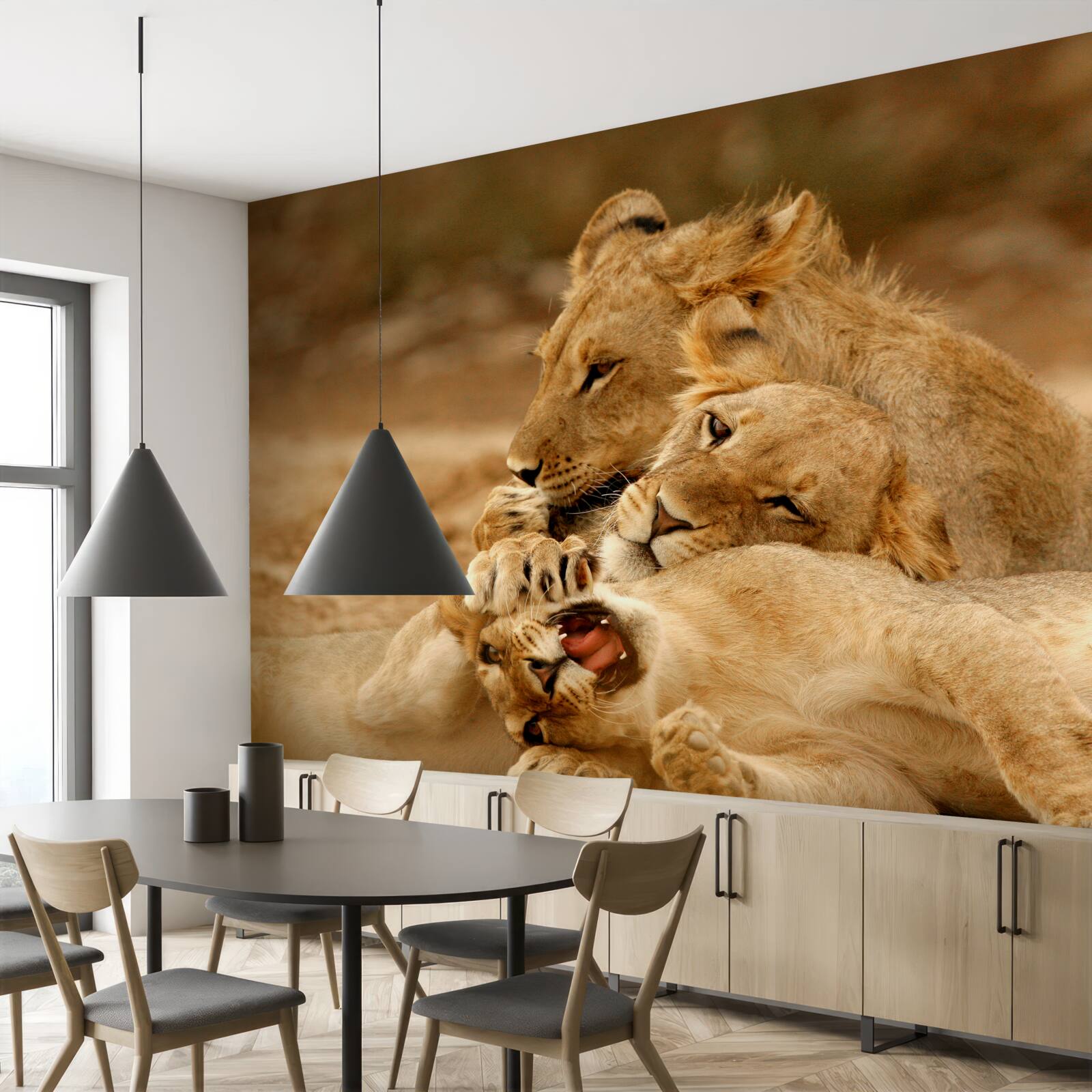 Фотошпалери сім'я левів оселилася на піщаній поверхні