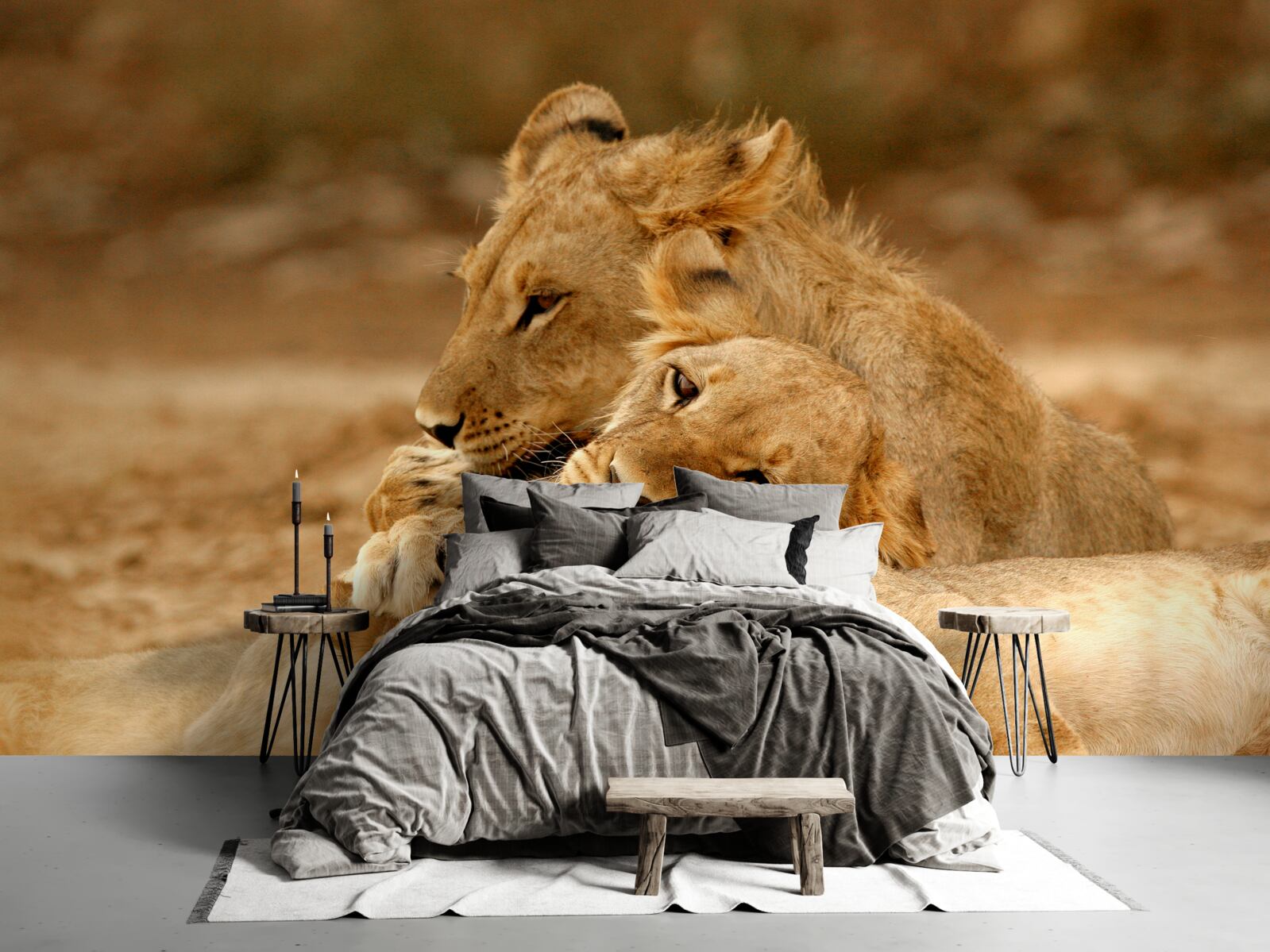 Фотошпалери сім'я левів оселилася на піщаній поверхні