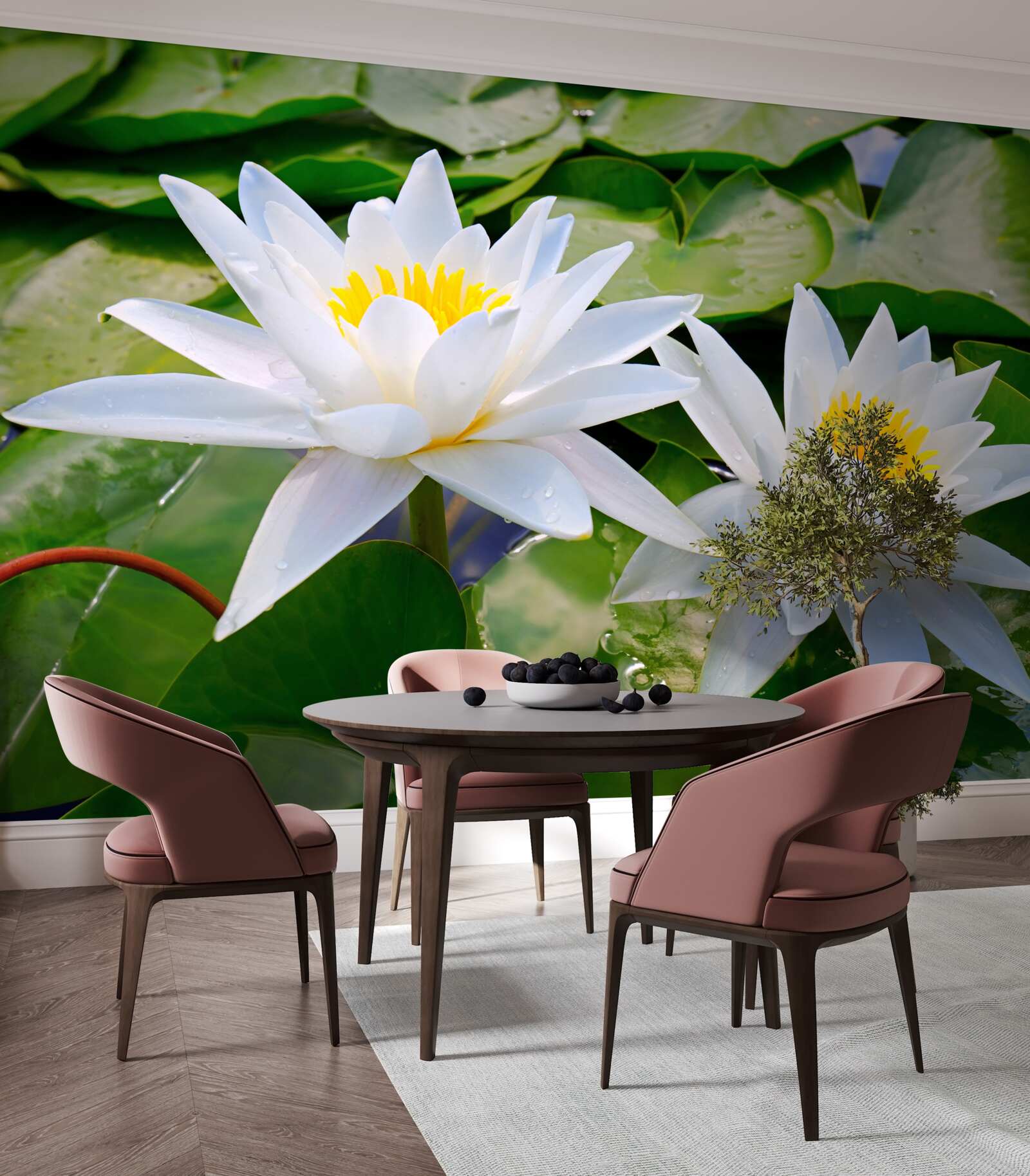 Фотошпалери біле латаття серед зеленого листя