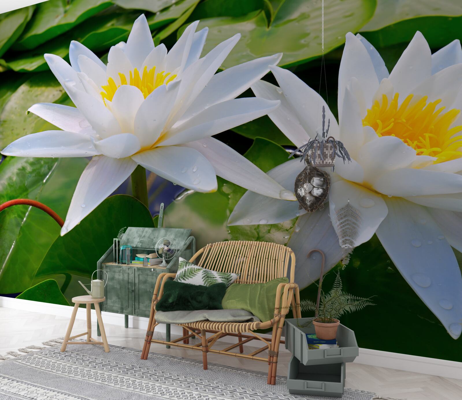 Фотошпалери біле латаття серед зеленого листя