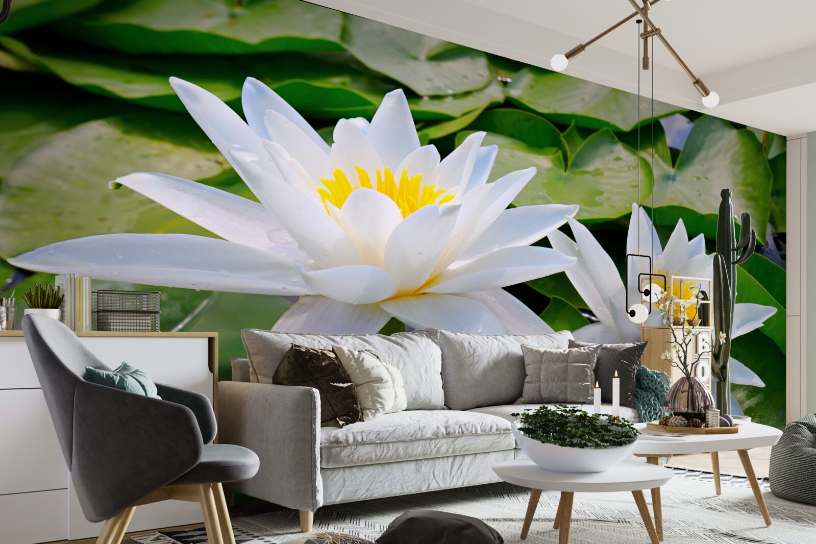 Фотошпалери біле латаття серед зеленого листя