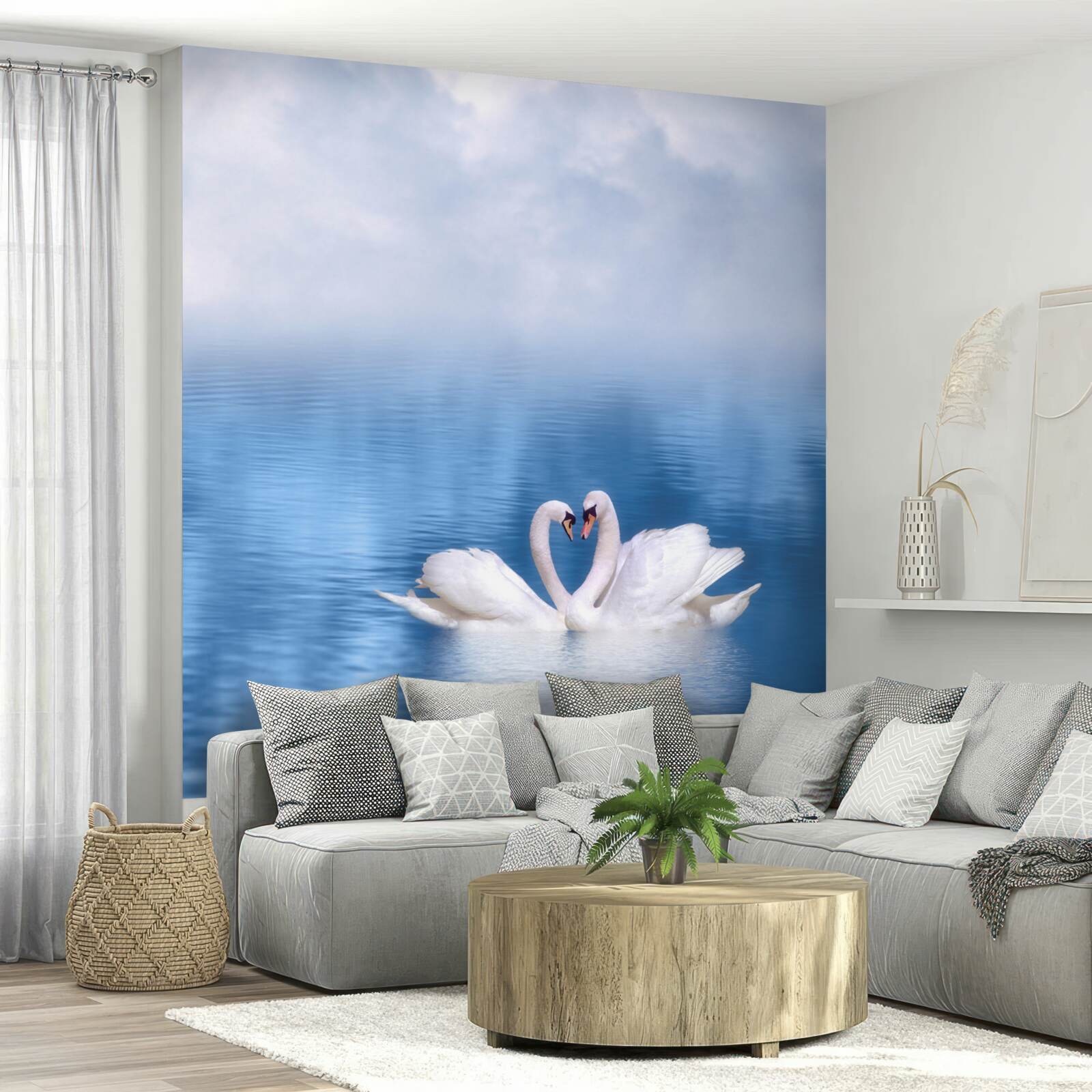 Фотошпалери два лебеді на спокійній поверхні