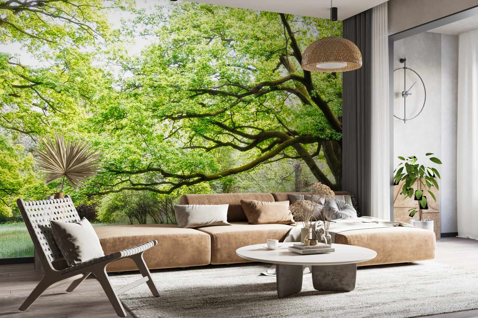 Фотошпалери старе дерево з зеленим листям у літній день