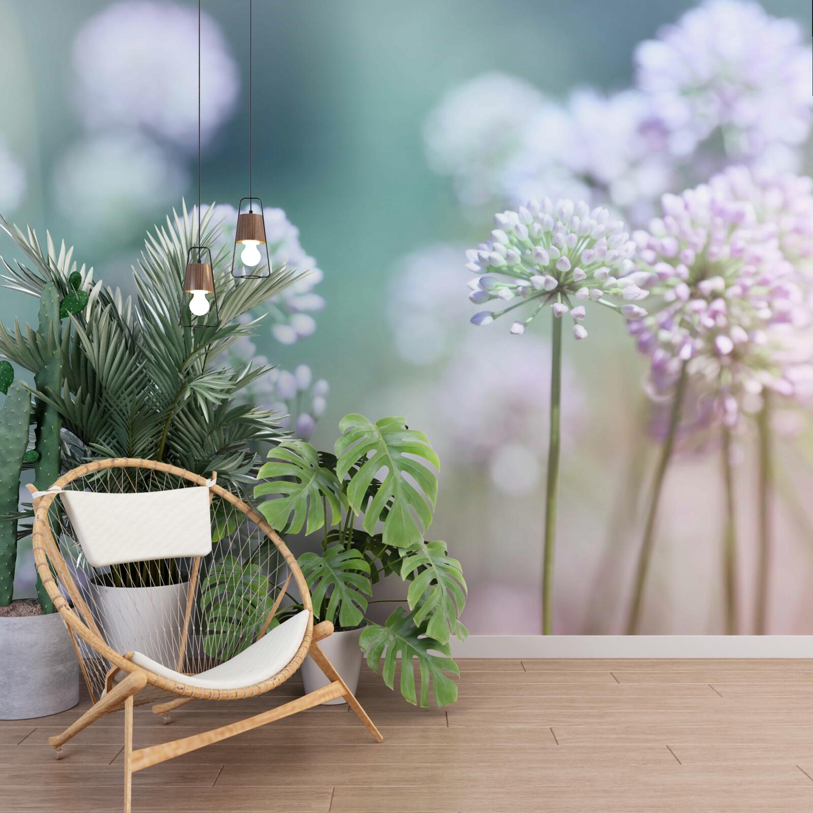 Фотошпалери квіти ніжного білого молочаю