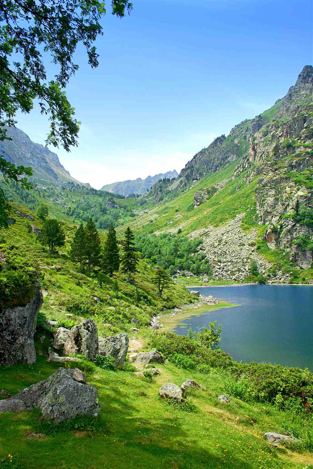 Фотошпалери озеро, оточене горами та зеленню