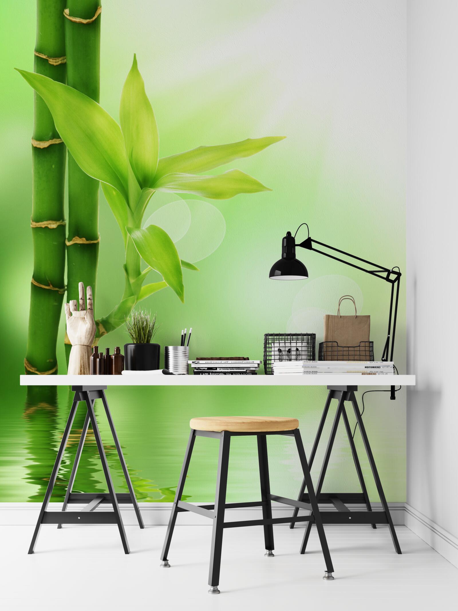 Фотошпалери бамбукова гілка з квітами на поверхні води