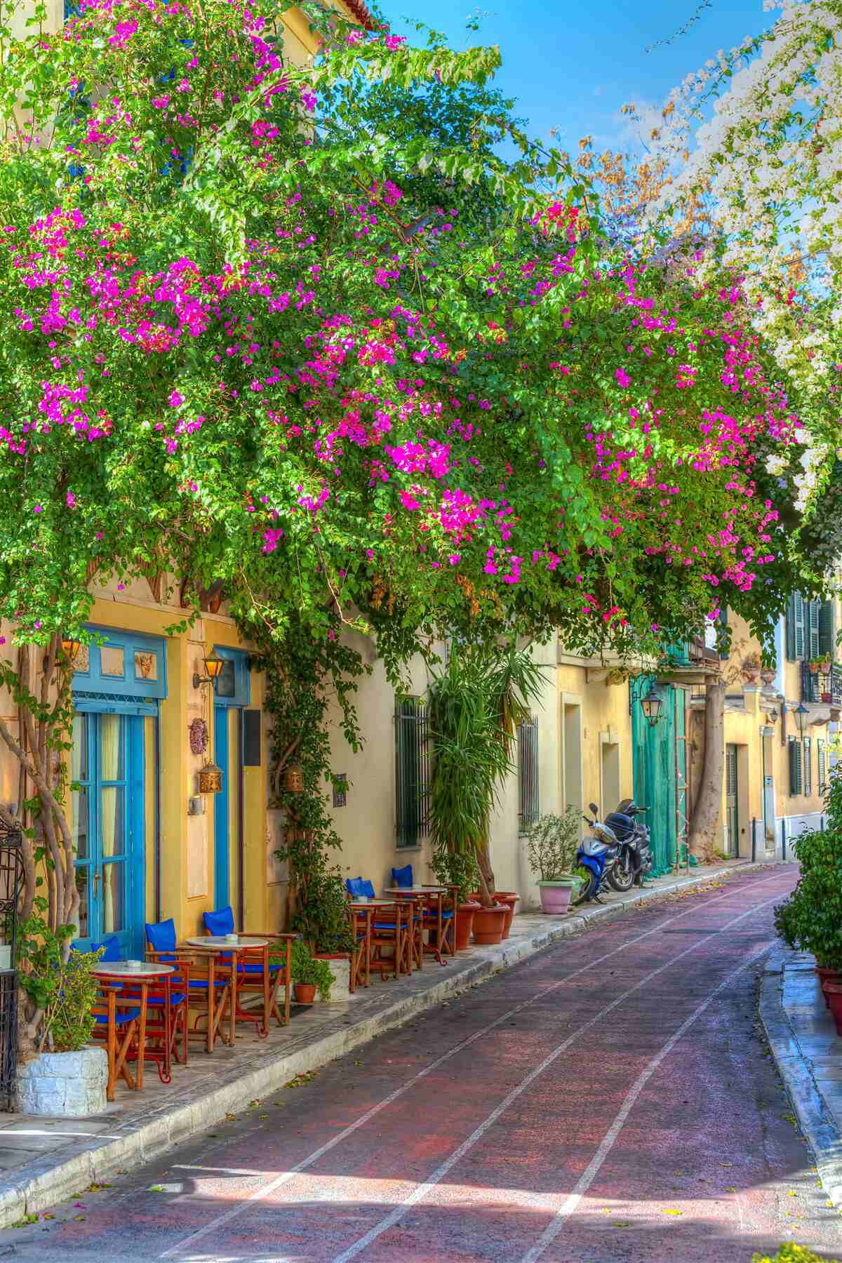 Фотошпалери густа зелень над будинками