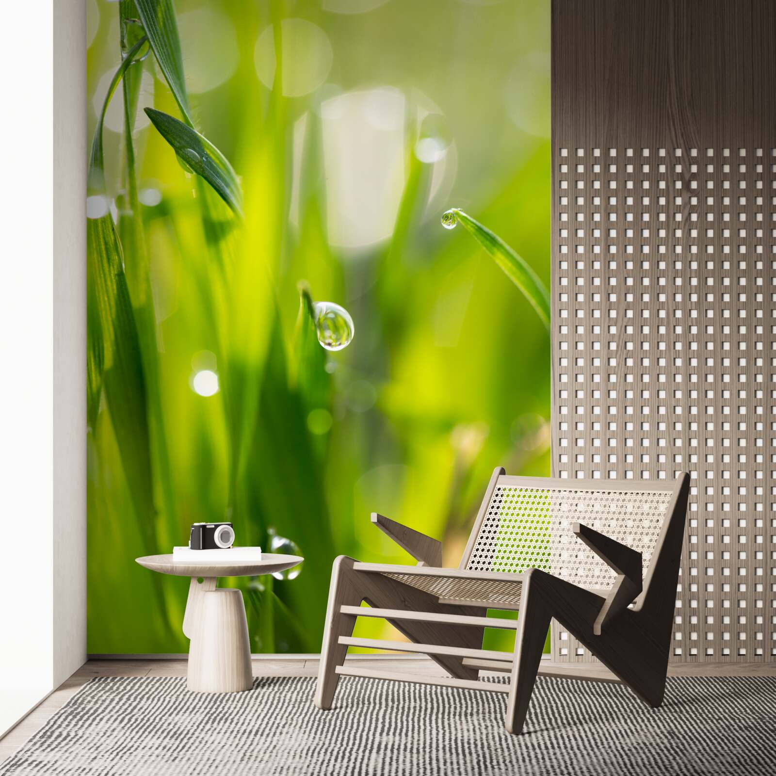 Фотошпалери ранкова роса падає на траву