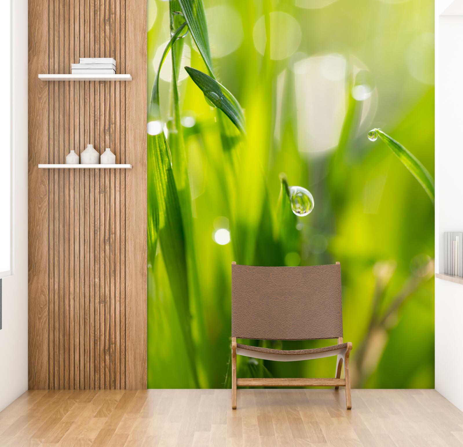 Фотошпалери ранкова роса падає на траву