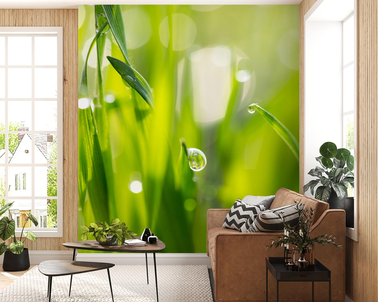 Фотошпалери ранкова роса падає на траву