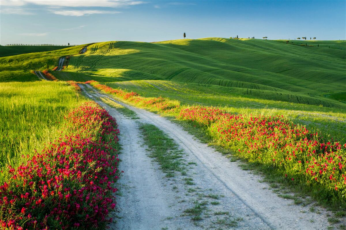 Фотошпалери дорога в горах в оточенні зелених полів