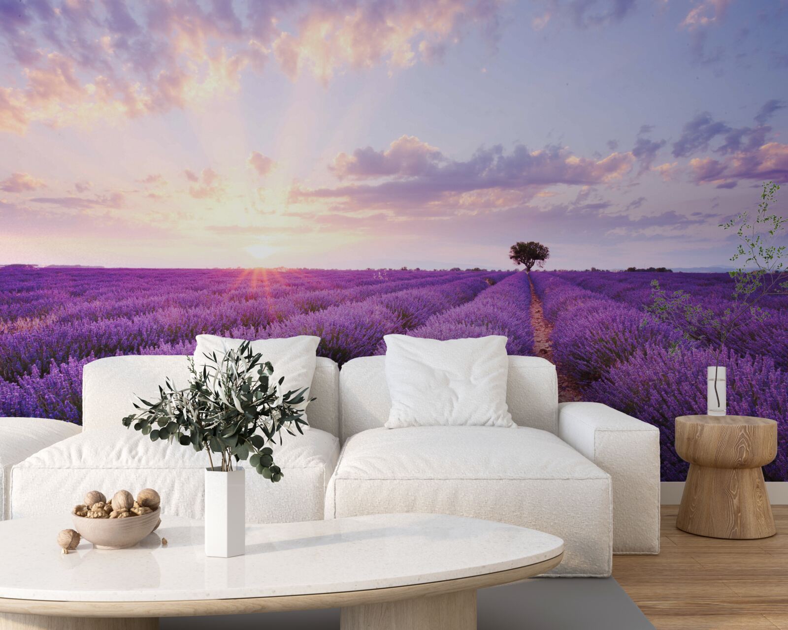Фотошпалери поле лаванди, наповнене ароматом
