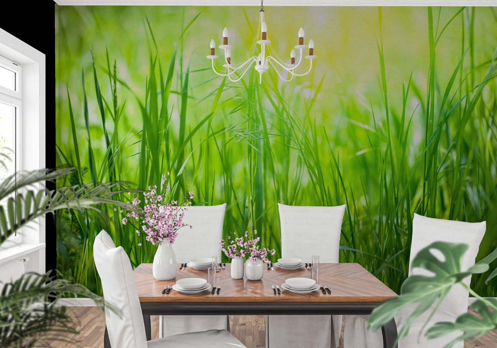 Фотошпалери ранкова роса випадає під сонячними променями