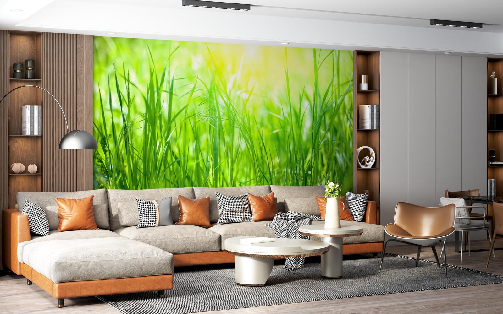 Фотошпалери ранкова роса випадає під сонячними променями