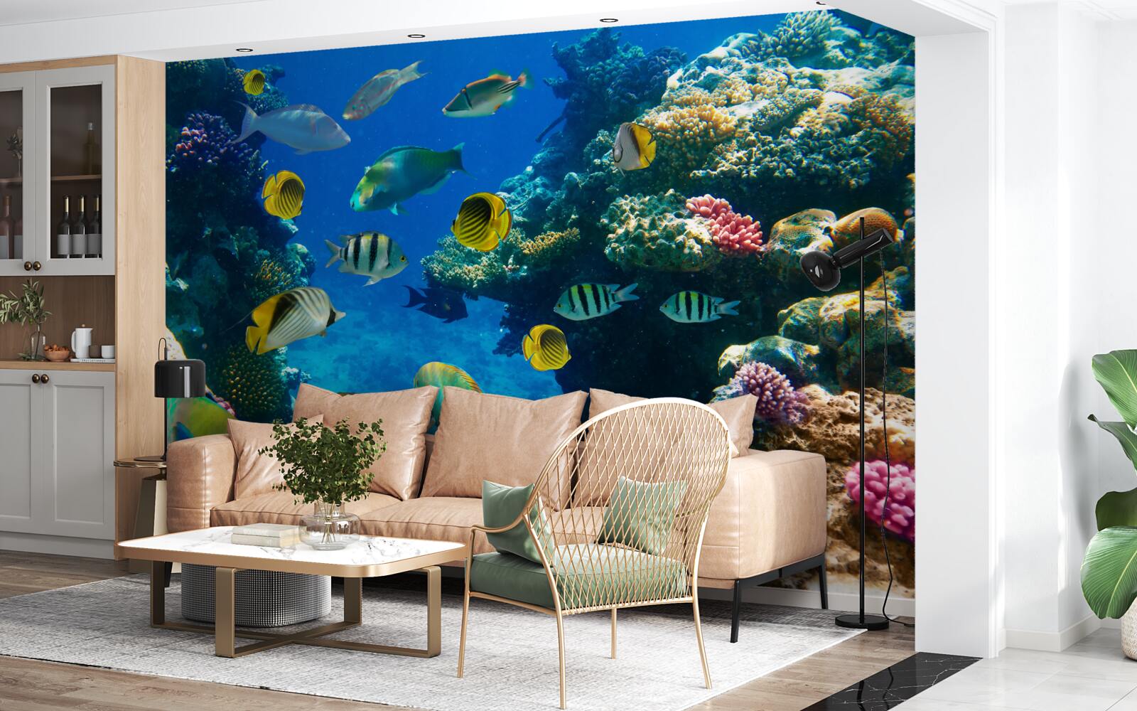 Фотошпалери кмітливі морські мешканці