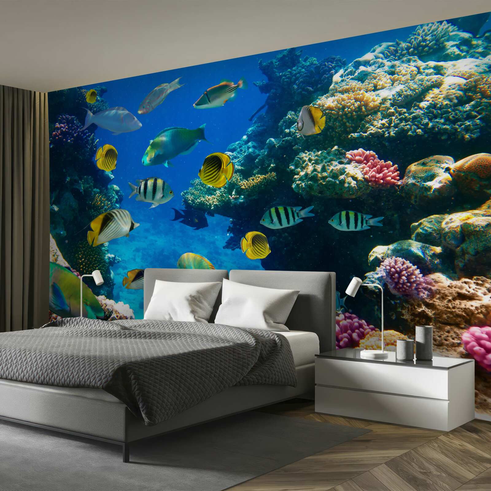 Фотошпалери кмітливі морські мешканці