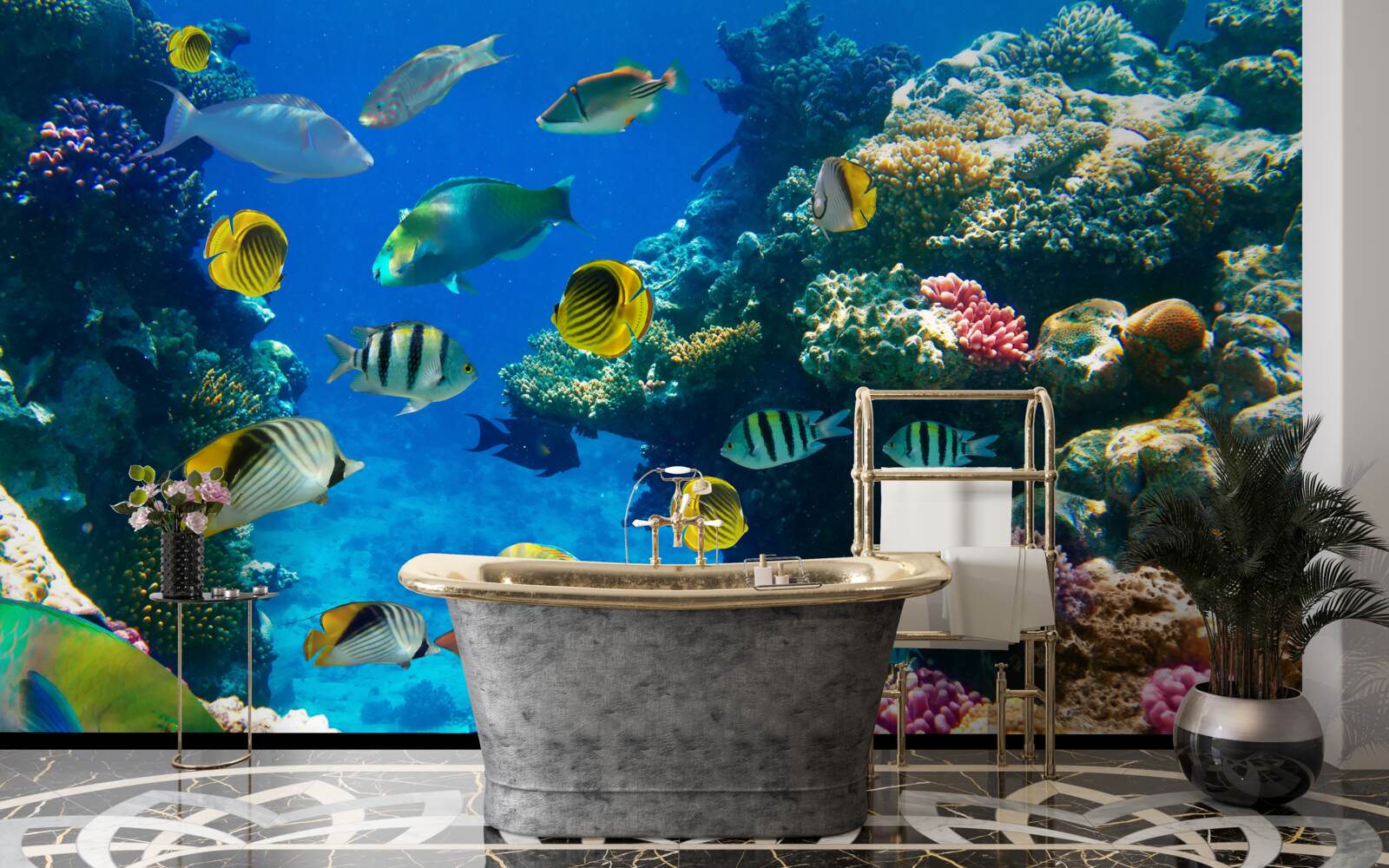 Фотошпалери кмітливі морські мешканці