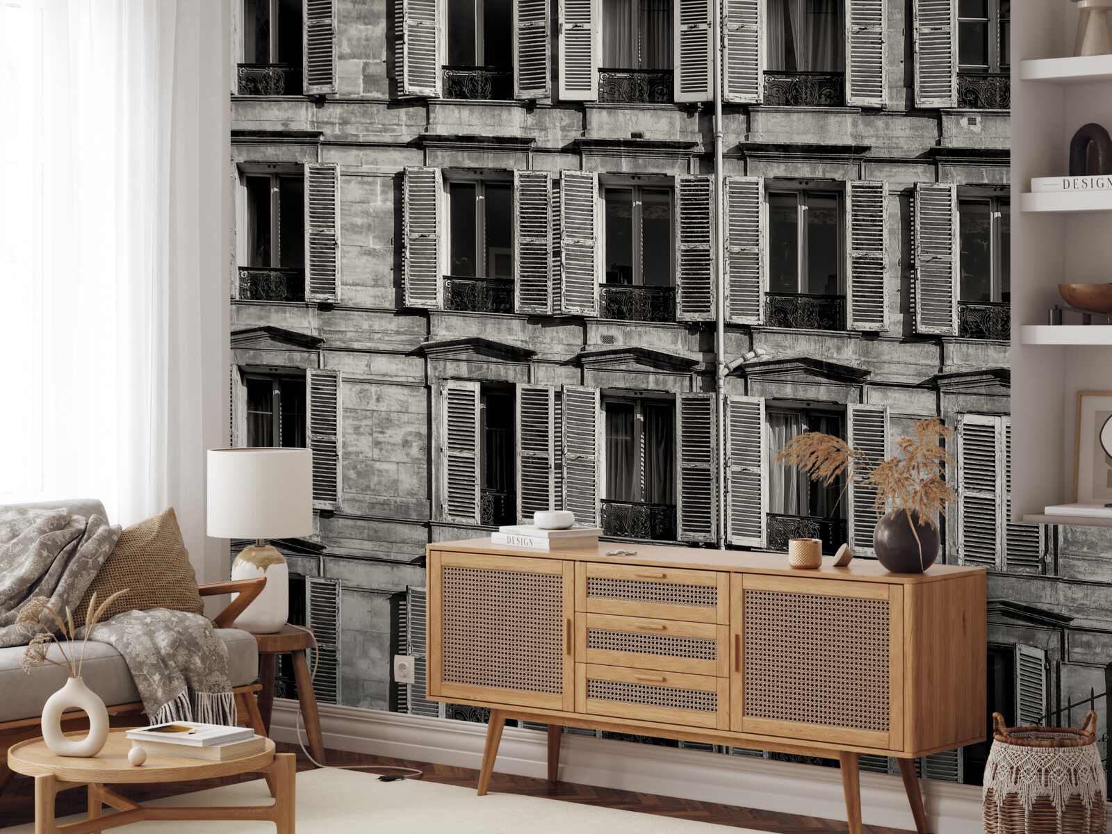 Фотошпалери віконні вентилятори в чорно-білій палітрі