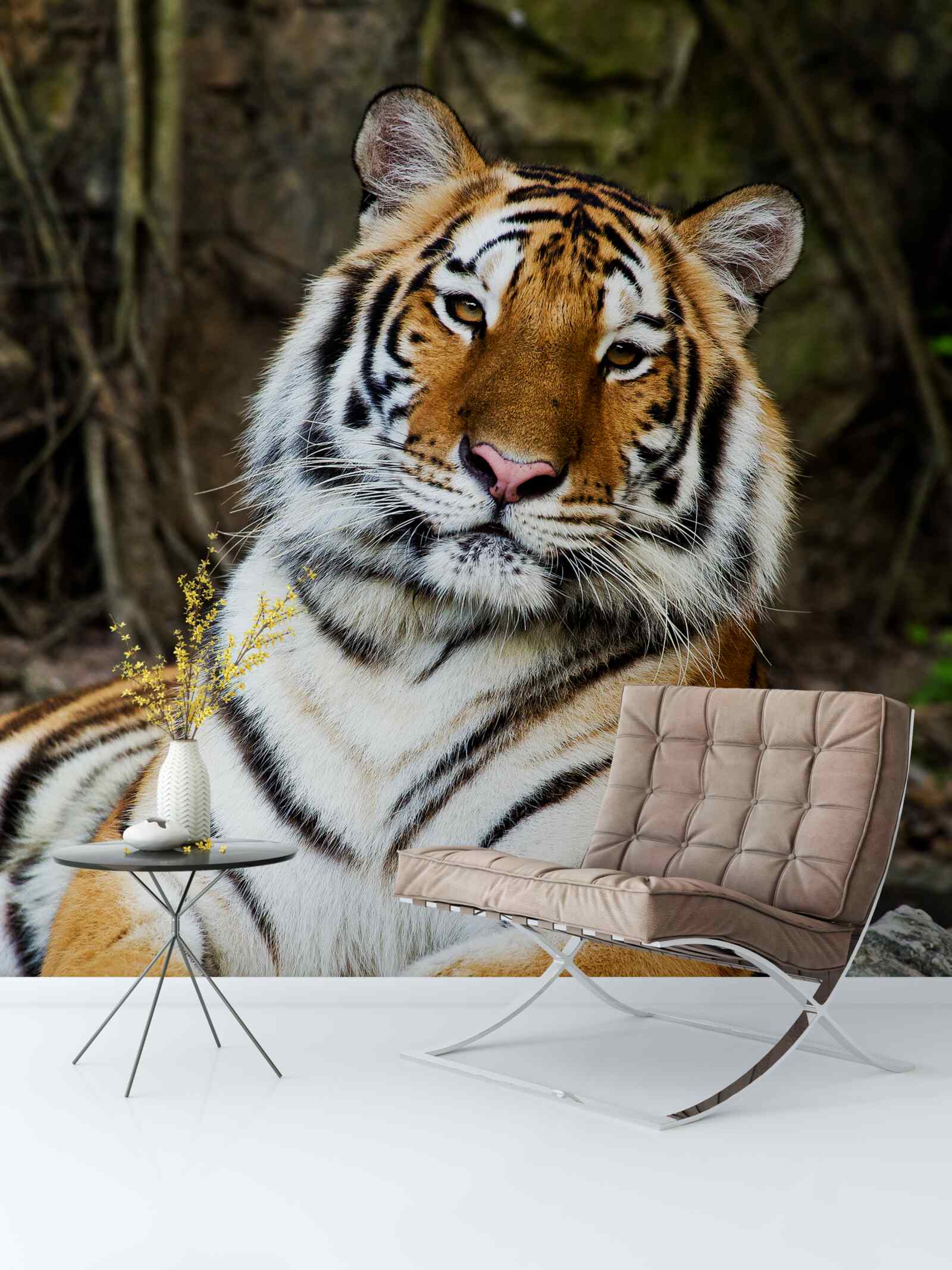 Фотошпалери великий тигр у відпустці