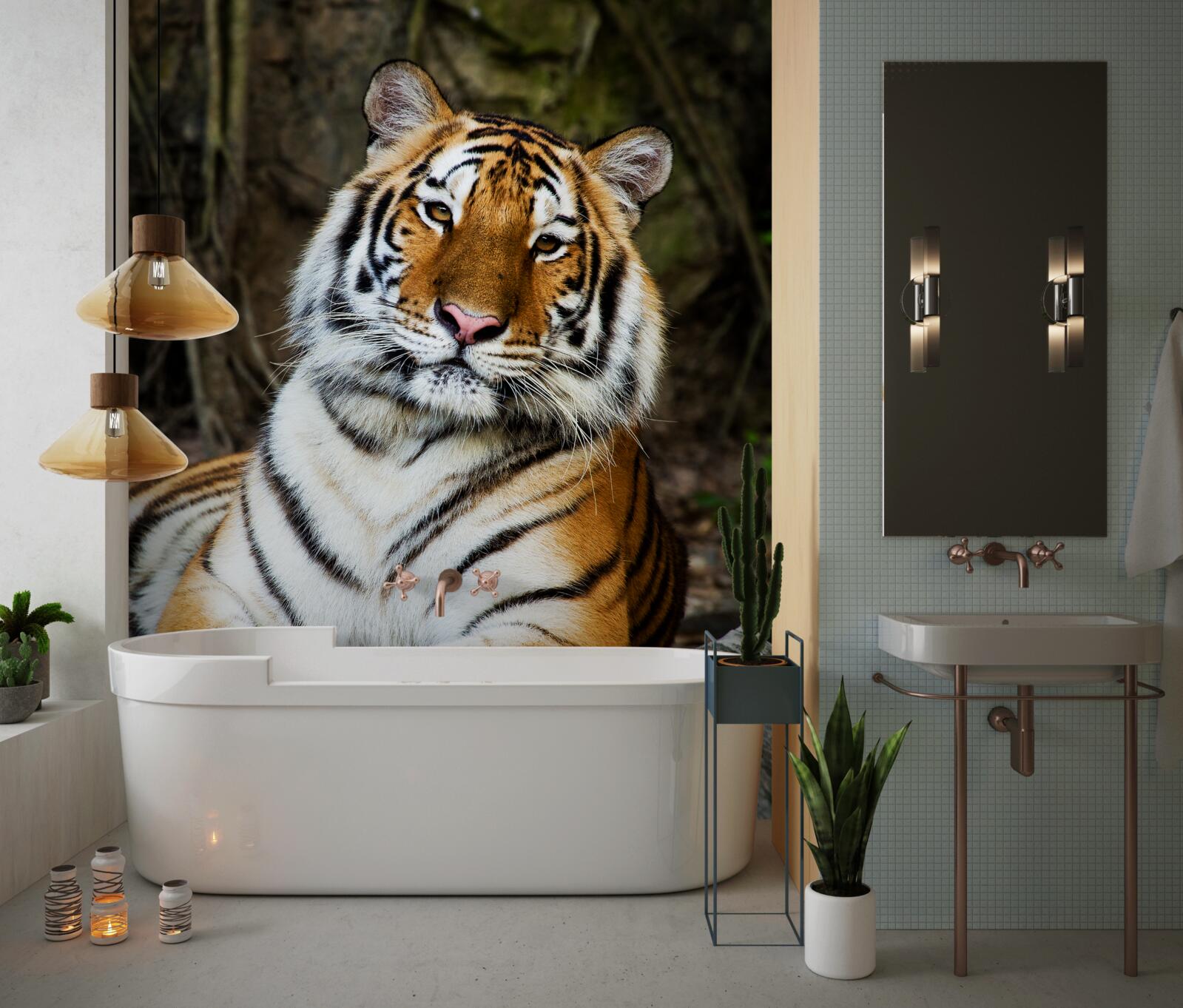 similar product image