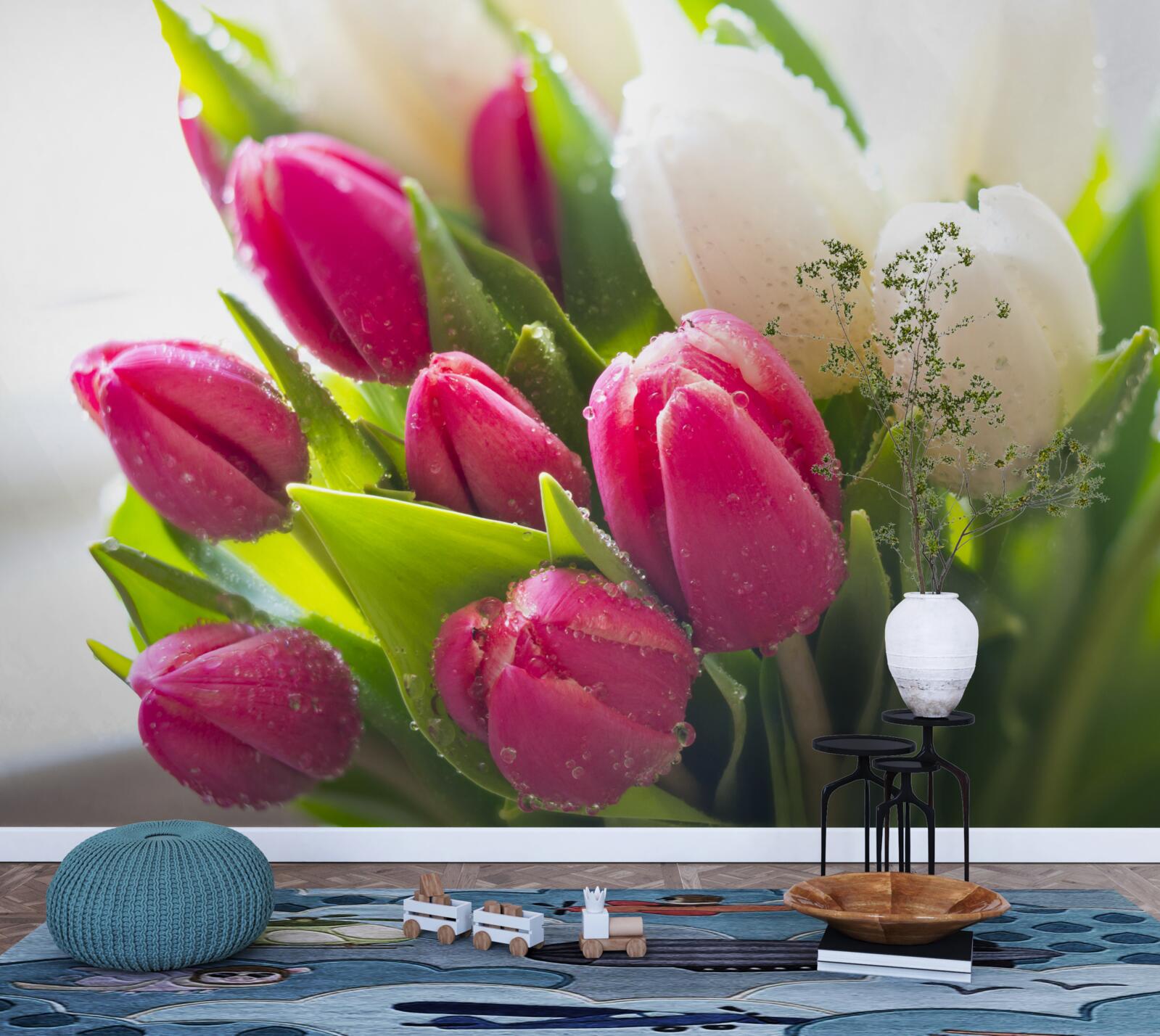 Фотошпалери композиція з білих і лавандових тюльпанів, вкритих росою