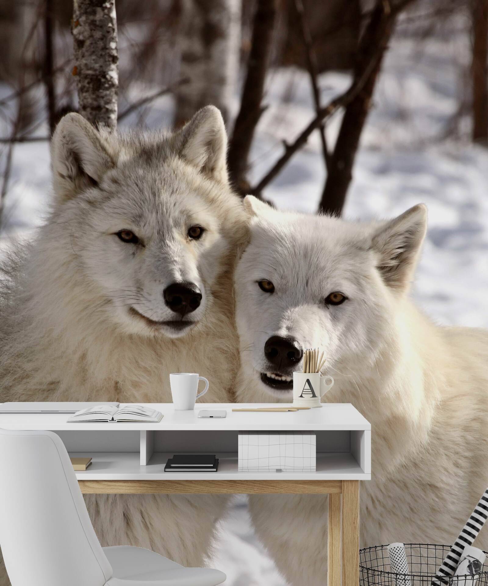 Фотошпалери зграя білих вовків у засніженому лісі