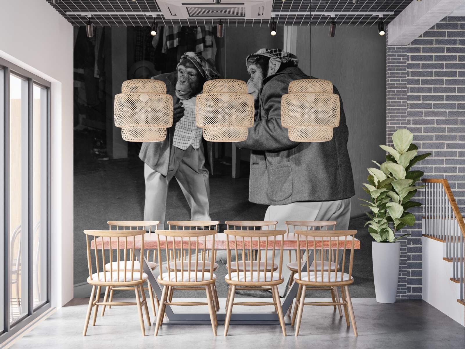 Фотошпалери мавпа в одязі дивиться в дзеркало