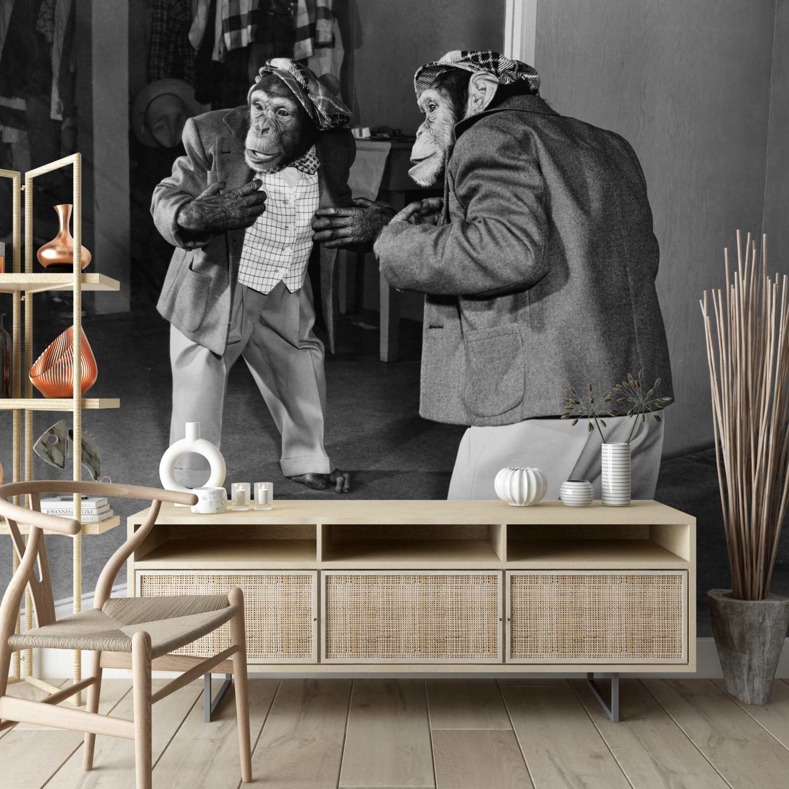 Фотошпалери мавпа в одязі дивиться в дзеркало