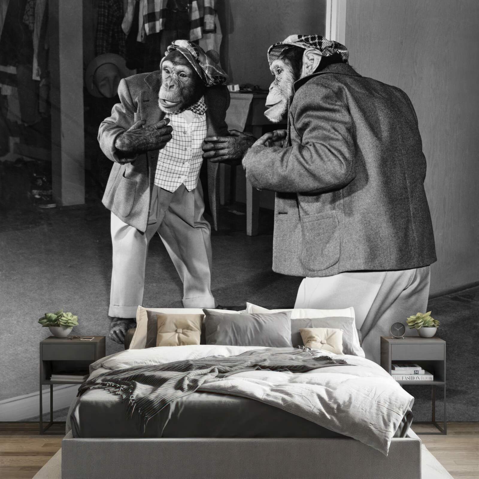 Фотошпалери мавпа в одязі дивиться в дзеркало