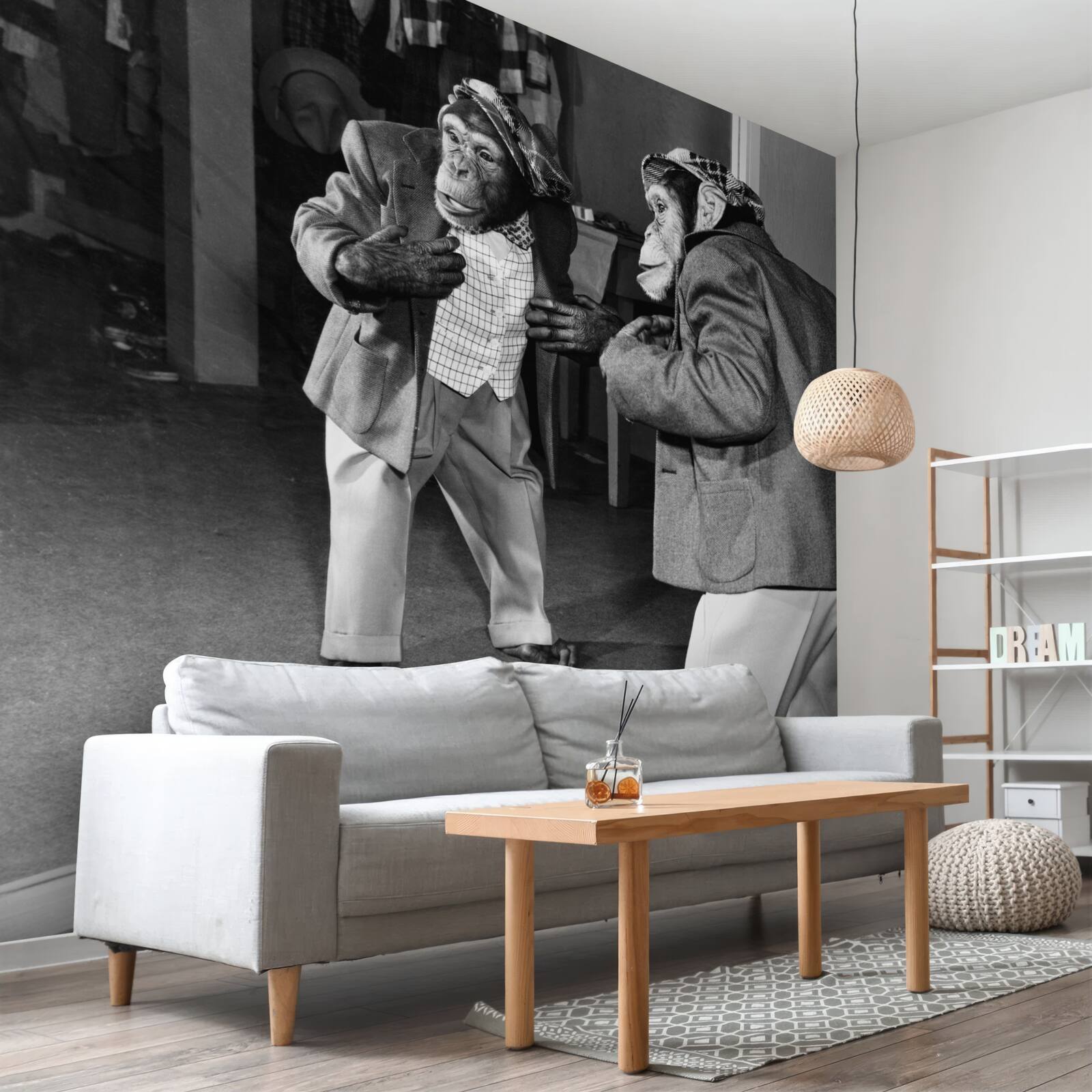 Фотошпалери мавпа в одязі дивиться в дзеркало