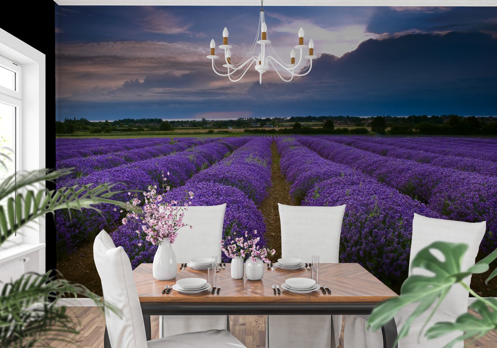 Фотошпалери на полі ростуть кущі запашної лаванди