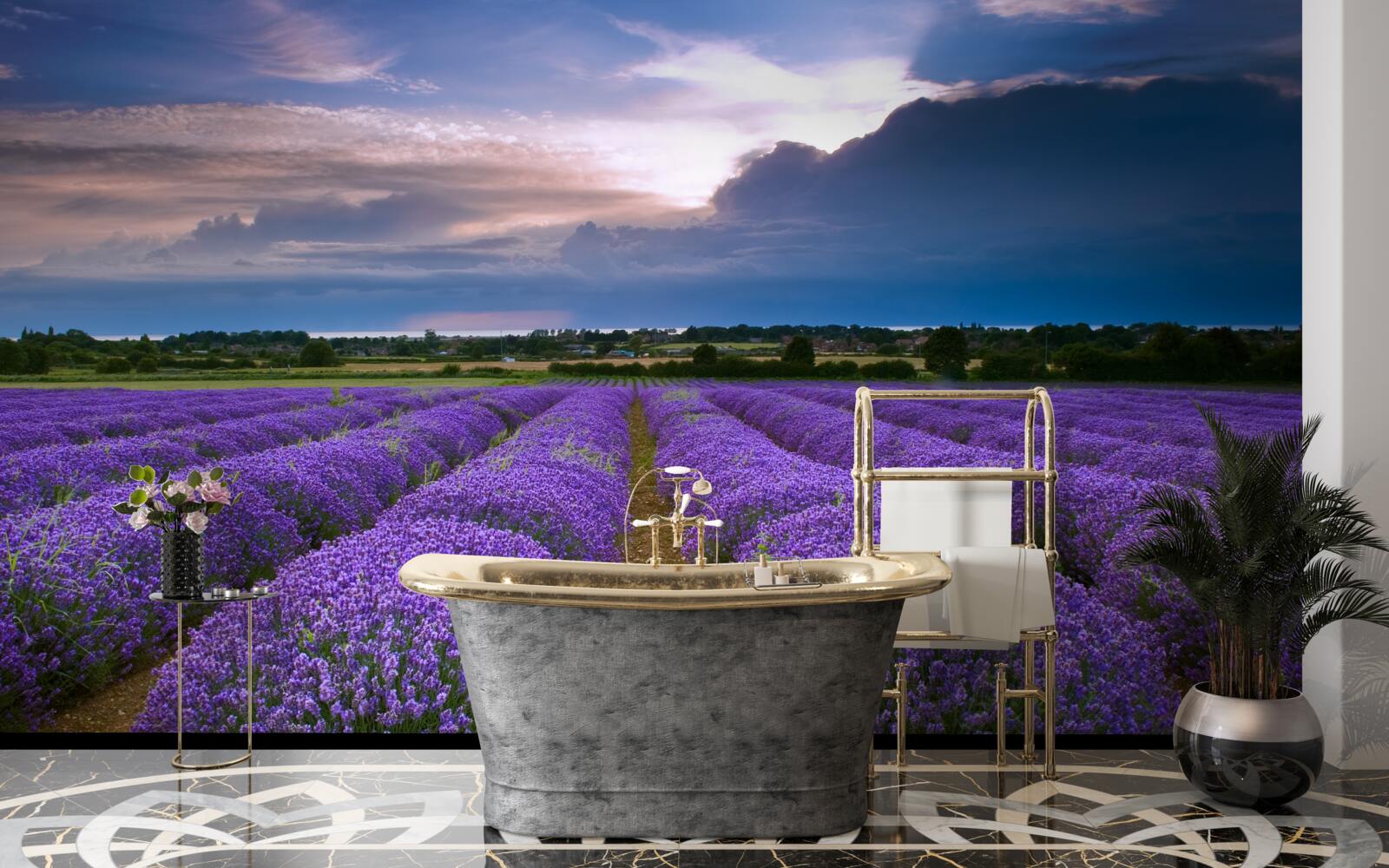 Фотошпалери на полі ростуть кущі запашної лаванди