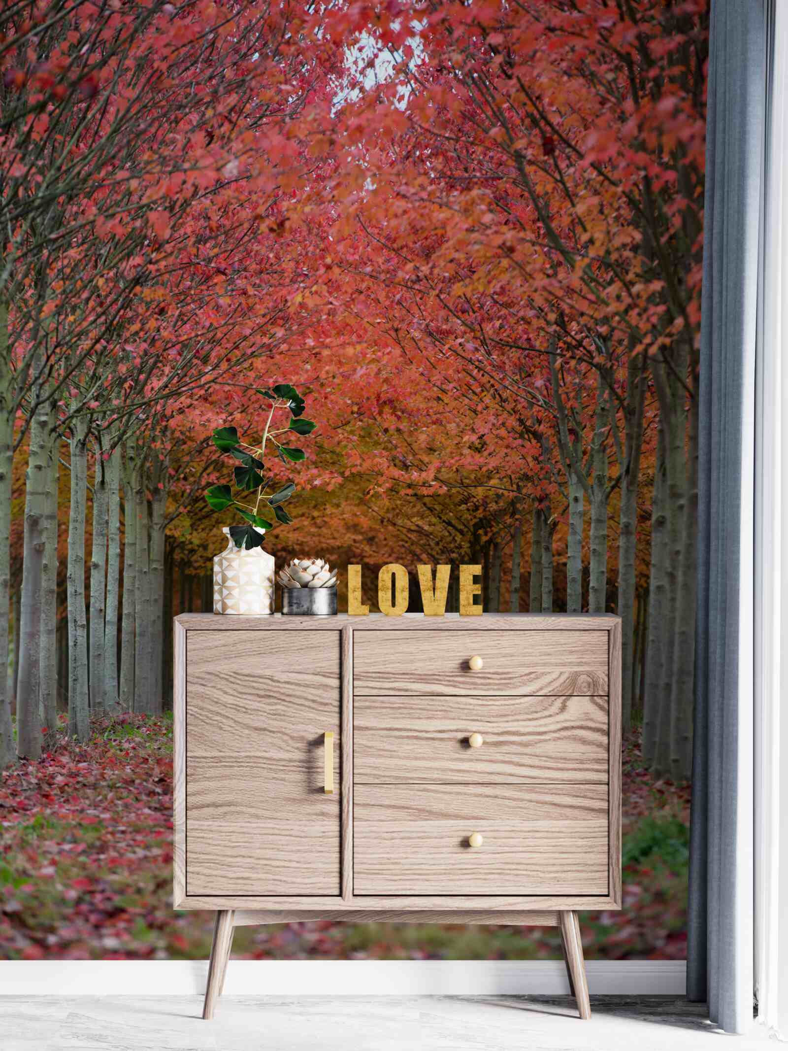 Фотошпалери арка з вишневого дерева