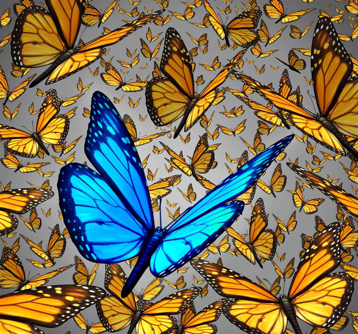 Фотошпалери синій метелик чітко виділяється серед жовтих