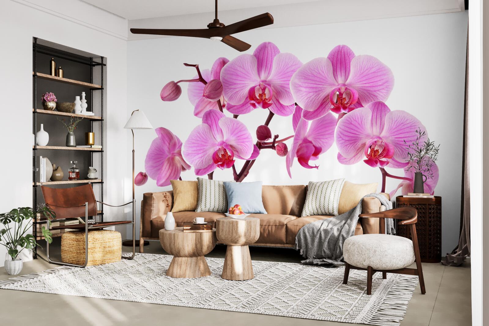 Фотошпалери рожева лілія на гілці на білому тлі