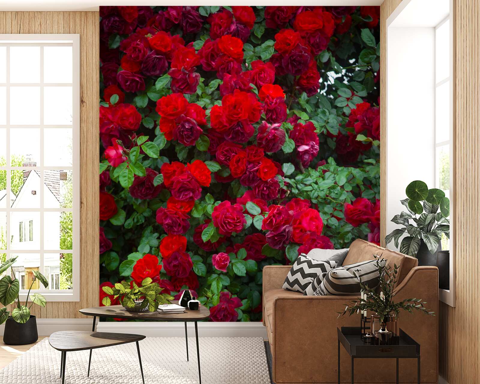 Фотошпалери кущ червоної троянди