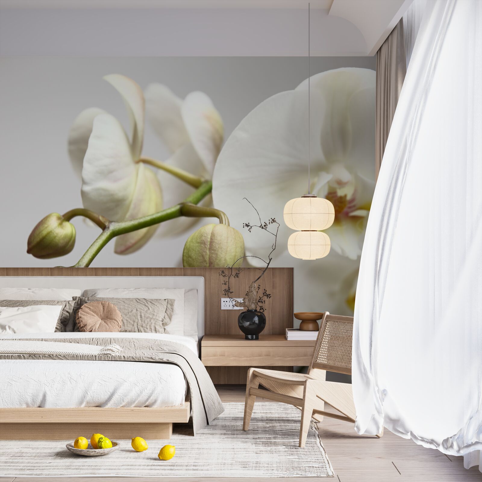 Фотошпалери гілка білої орхідеї з розквітлими квітами та нерозвиненими бутонами