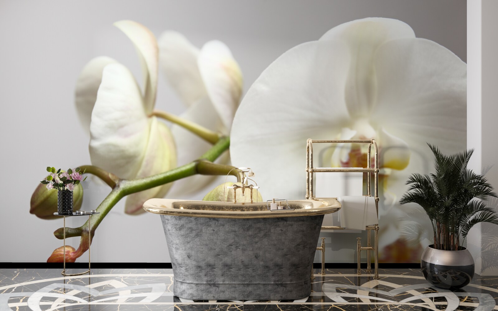 Фотошпалери гілка білої орхідеї з розквітлими квітами та нерозвиненими бутонами