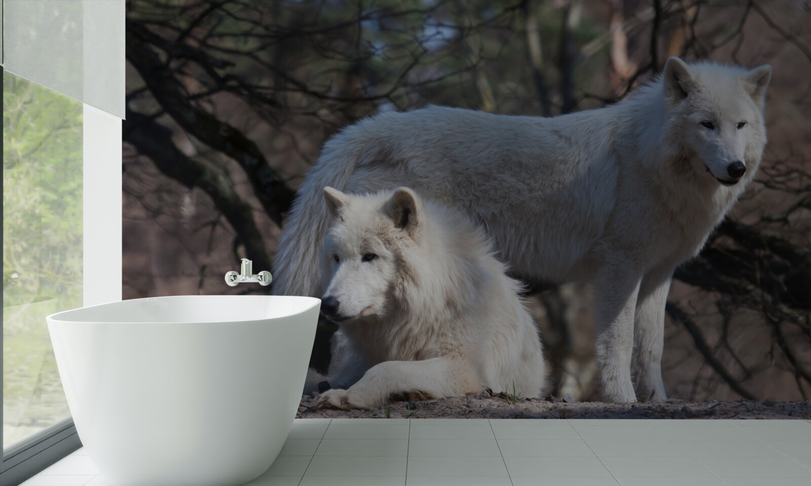 Фотошпалери вовки біліють у лісі, вкритому опалим листям