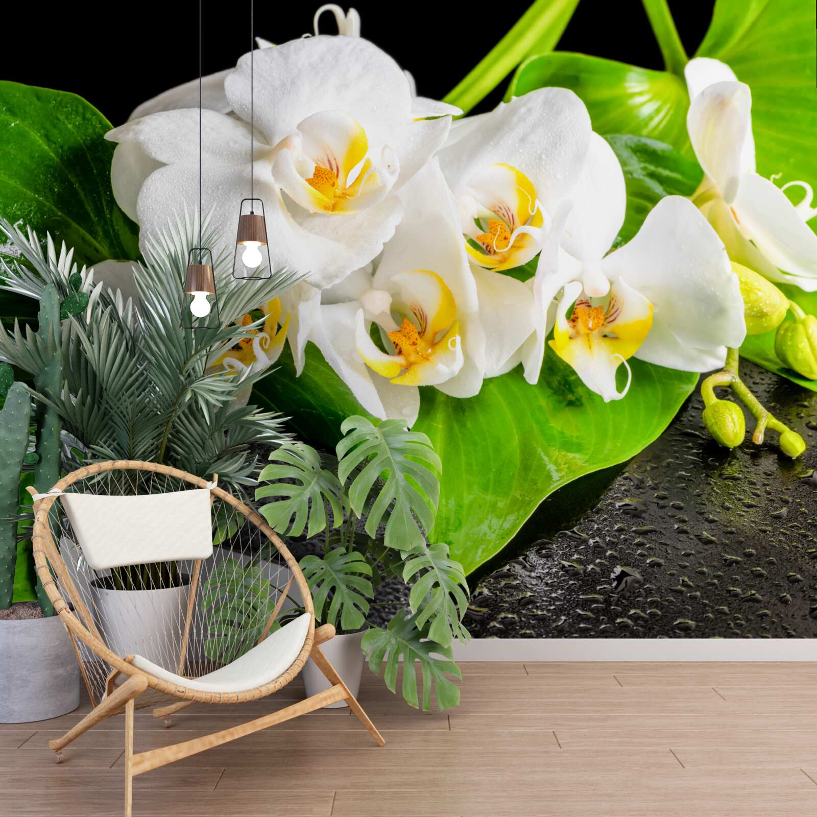 Фотошпалери білий лотос на темній скелі