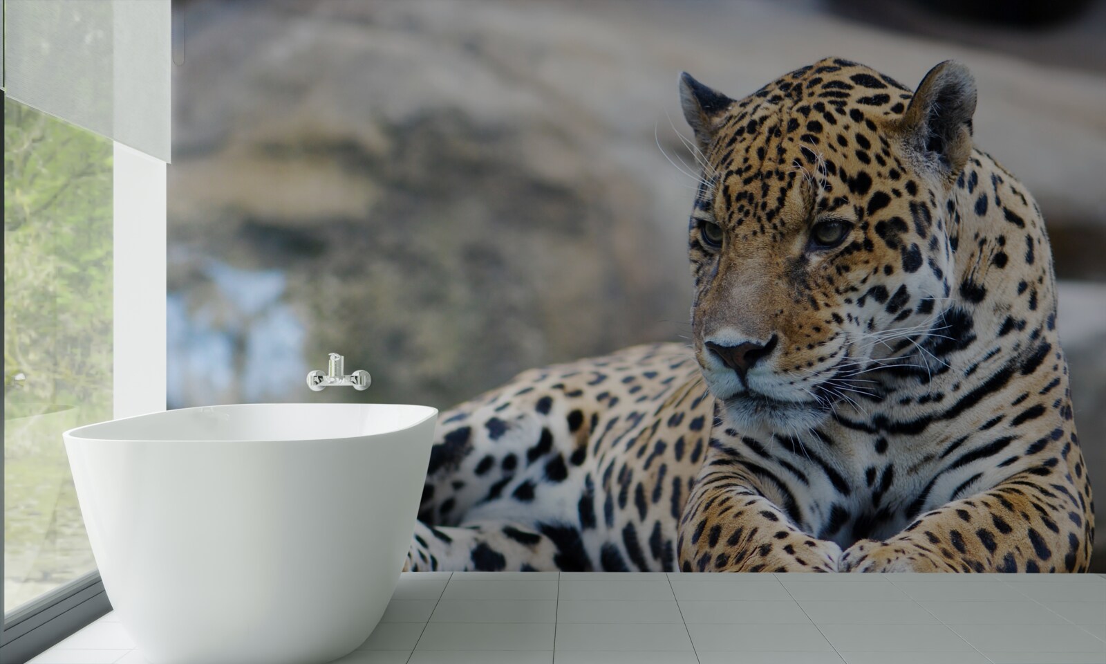 Фотошпалери леопард відпочиває на дерев'яних поверхнях