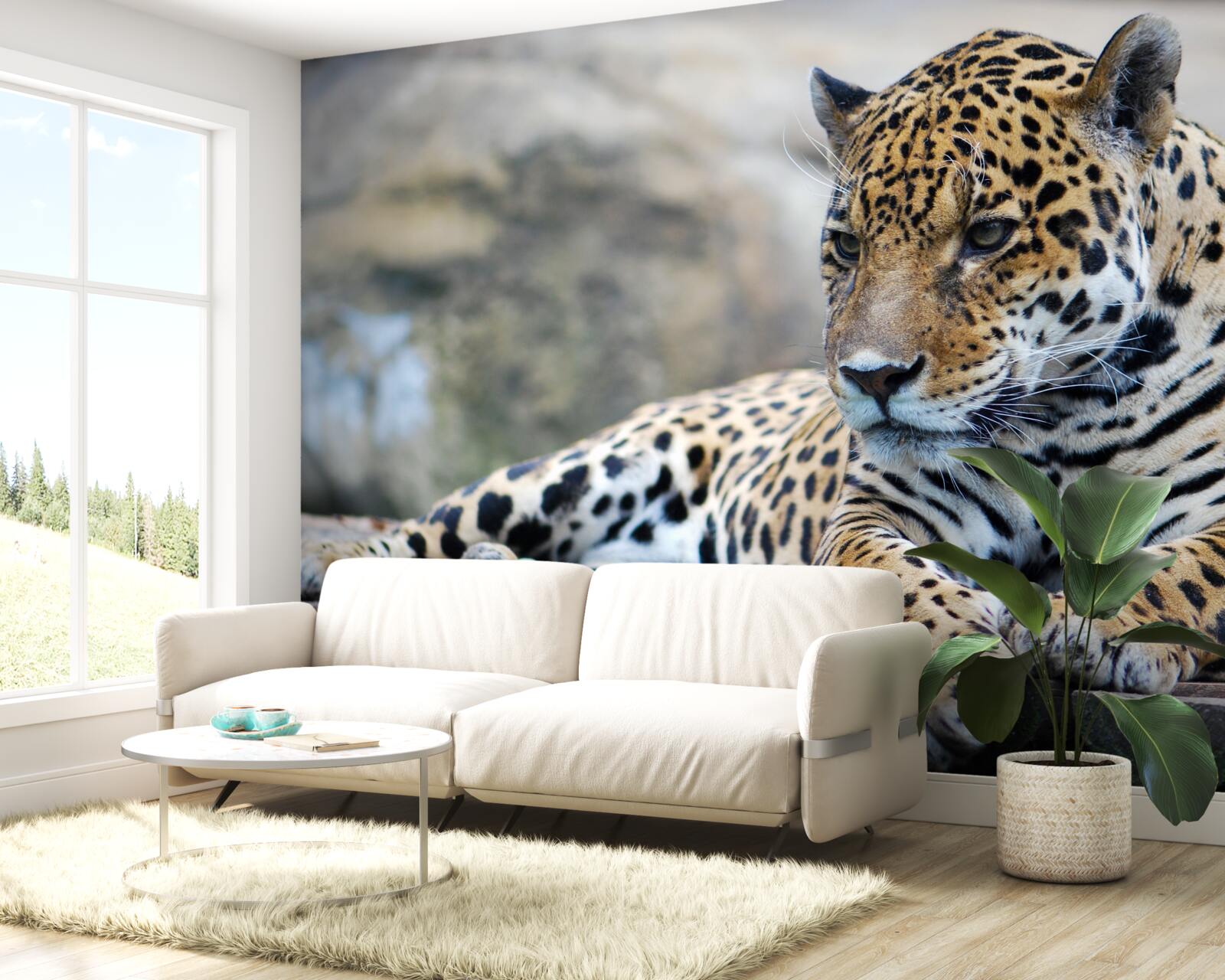 Фотошпалери леопард відпочиває на дерев'яних поверхнях